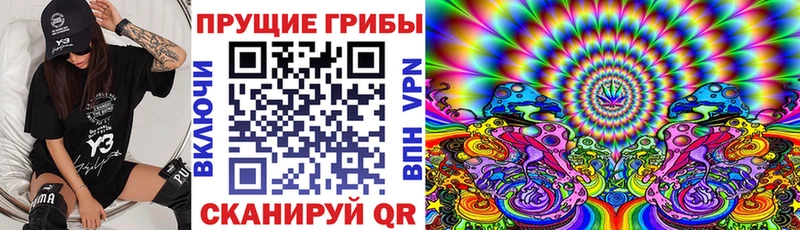купить наркоту  кракен зеркало  Галлюциногенные грибы MAGIC MUSHROOMS  Тогучин 